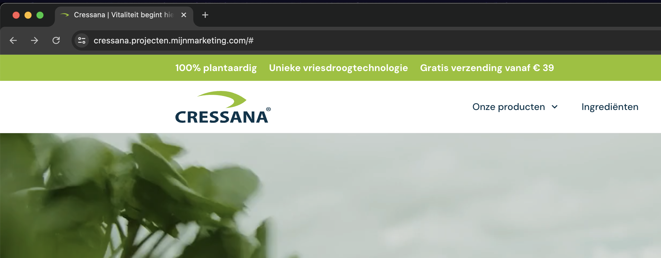 3561328752.png